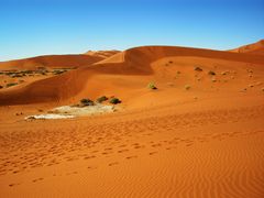 C0079 Namibia Sossusvlei