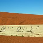 C0080 Namibia Sossusvlei