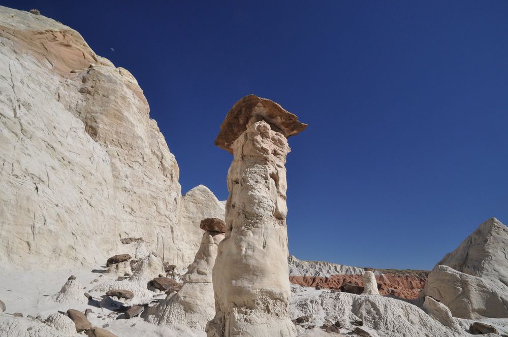 C0134 Grand Staircase Escalante, Toadstool