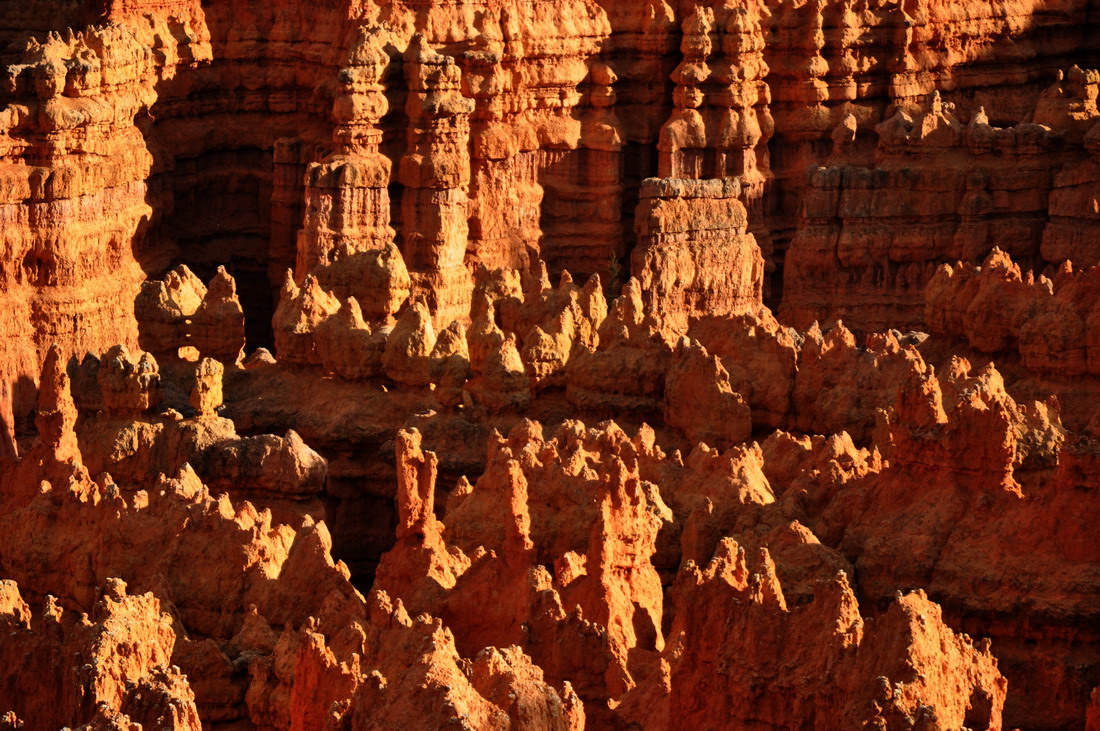 C0163 Bryce Canyon von der untergehenden Sonne angestrahlt