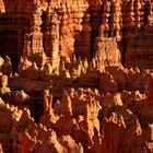 C0163 Bryce Canyon von der untergehenden Sonne angestrahlt