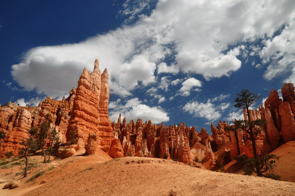 C0165 Bryce Canyon Queens Garden