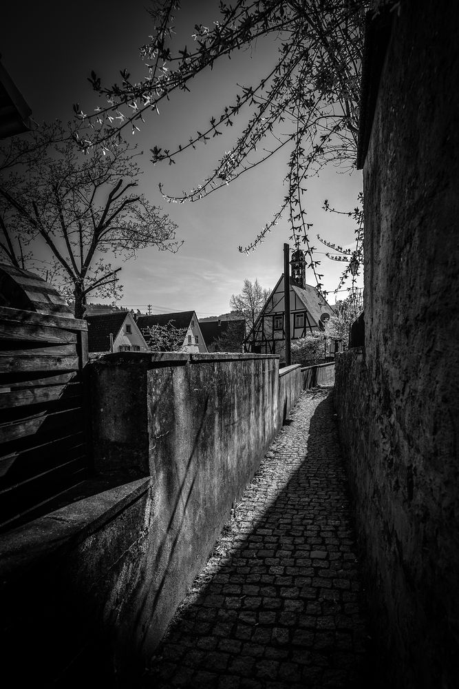 Frühling an der Bergstraße von Roger Schäfer Weinheim 