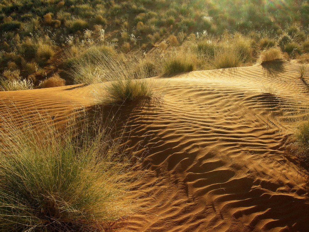 C0276 Windspiel in Namibia