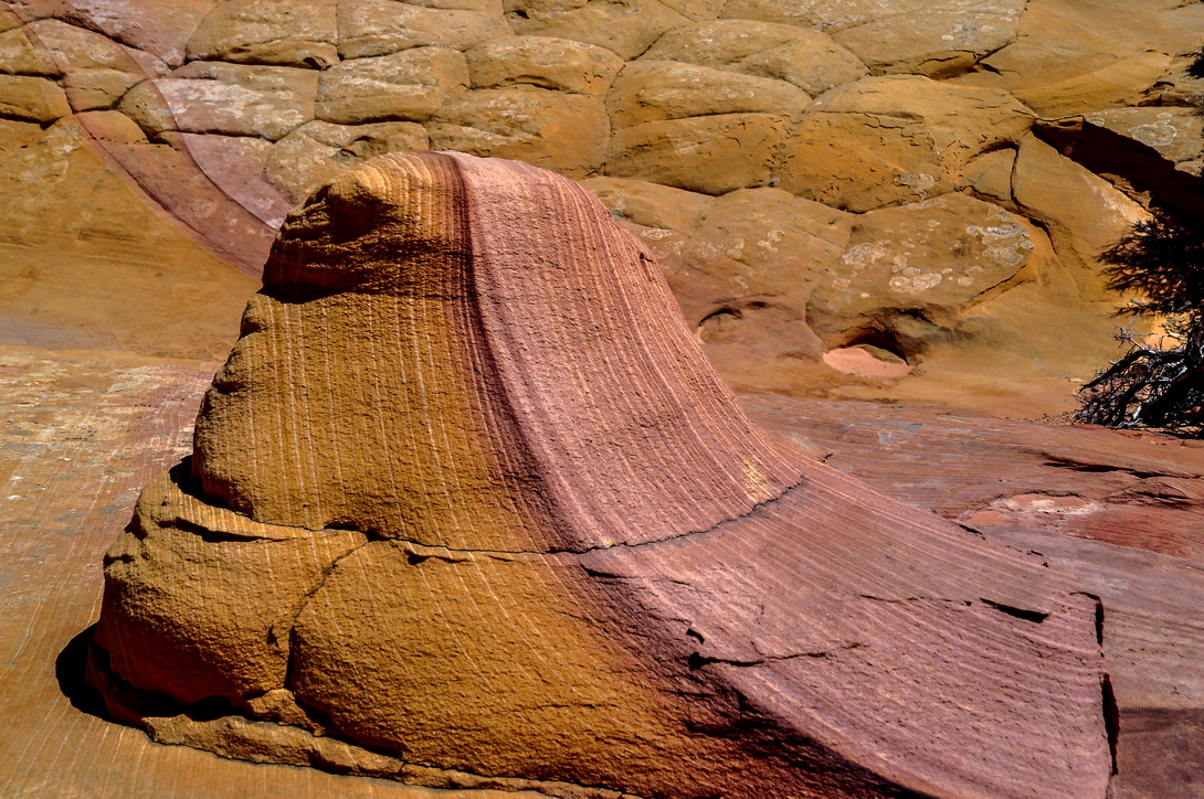 C0608 Coyote buttes south