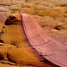 C0608 Coyote buttes south