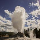 C0667 Yellowstone