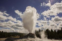 C0667 Yellowstone