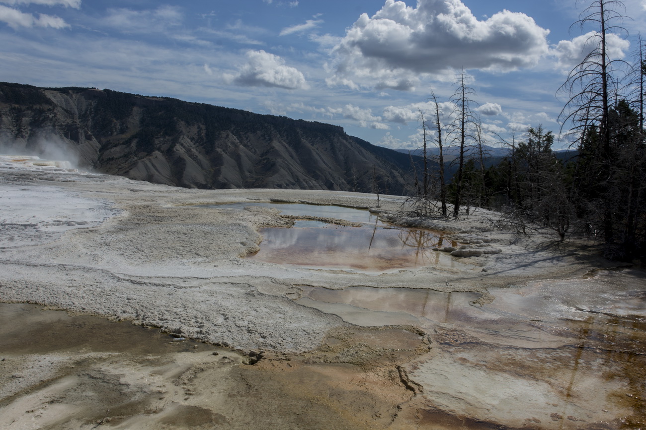 C0675 Mammoth Hot Springs