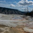 C0675 Mammoth Hot Springs