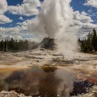 C0679 Castle-Geysir