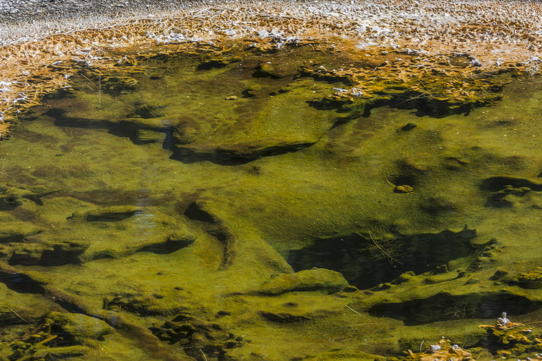 C0680 Economic Geysir