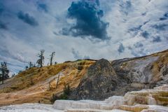 C0684 Mammoth Hot Springs