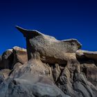 C0689 Bisti Badlands II