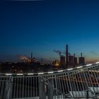 C0780 Tiger & Turtle by night (2)