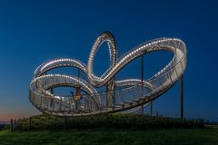 C0781 Tiger & Turtle by night