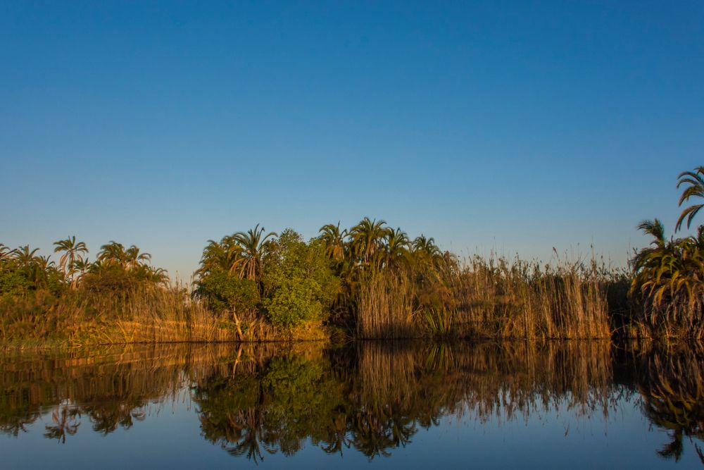 C0783 im nördlichen Okavango-Delta