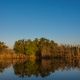 Okavango nördl.Delta