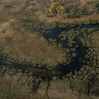 C0795 Okavango