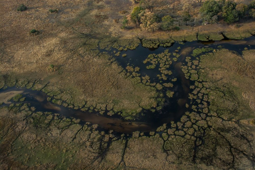 C0795 Okavango