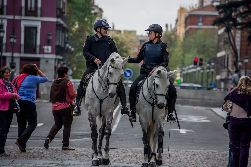 C0884 entspannte Polizeipatrouile