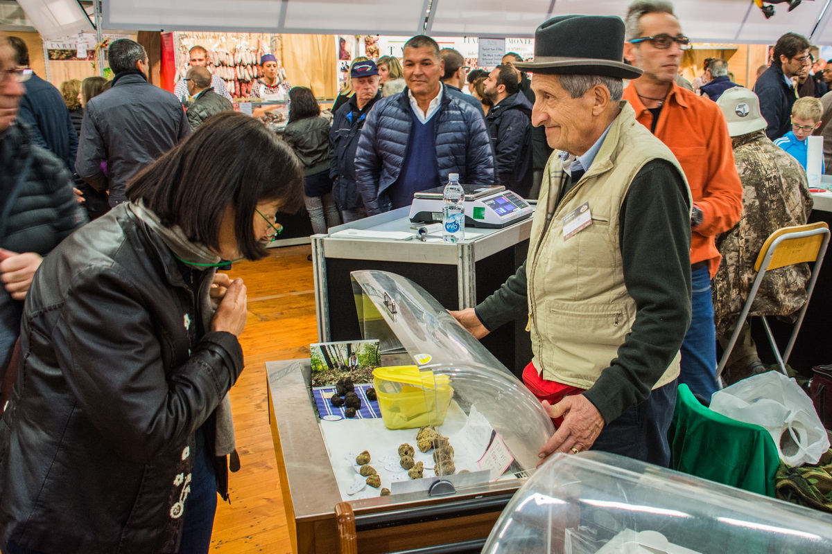 C0902 ein Original auf demTrüffelmarkt