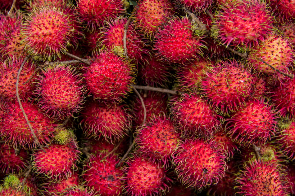 C0934 Rambutan