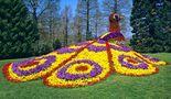 Insel Mainau von  Klaus Ender