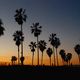 Venice Beach