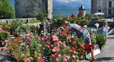 Photographier la beauté........ de gageou Jean- claude gage