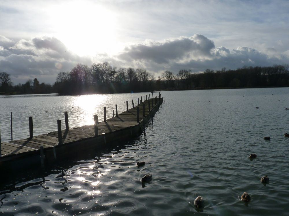 Abendstimmung am See von Barbara Watterott