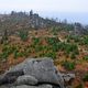 Wanderung am Dreisessel / Bayerischer Wald ...