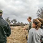 C1036 Südafrika - Olifant - klare Ansage beim Morning Walk