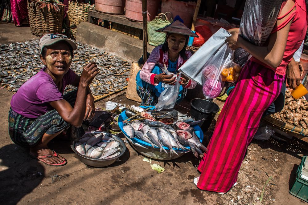 C1062_Myanmar - Markt Bago