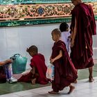 C1081_Myanmar - Mönche in der Shwethalyaung Pagode, Bago