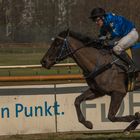 C1142_Galoppsport Bremen - dem Sieg entgegen