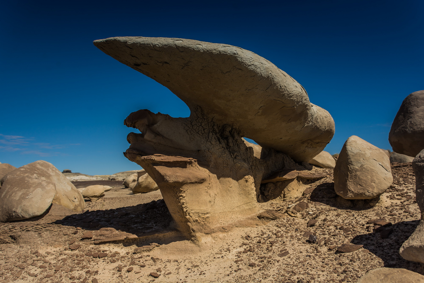 C1159__Bisti Badland USA