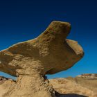 C1160_Bisti Badland USA