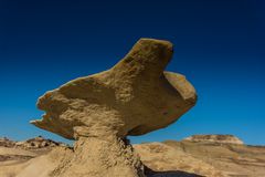 C1160_Bisti Badland USA