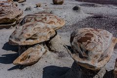 C1161_Bisti Badland - Cracked Eggs