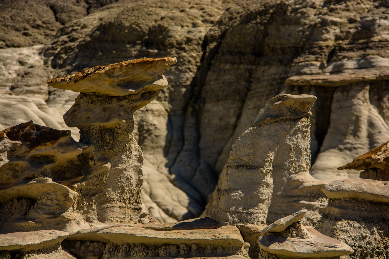 C1162_Bisti Badland USA