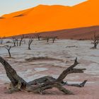 C1246 Namibia Dead Vlei