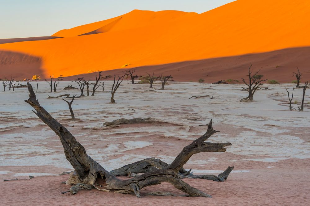 C1246 Namibia Dead Vlei