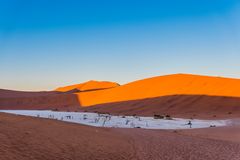 C1247 Namibia Dead Vlei