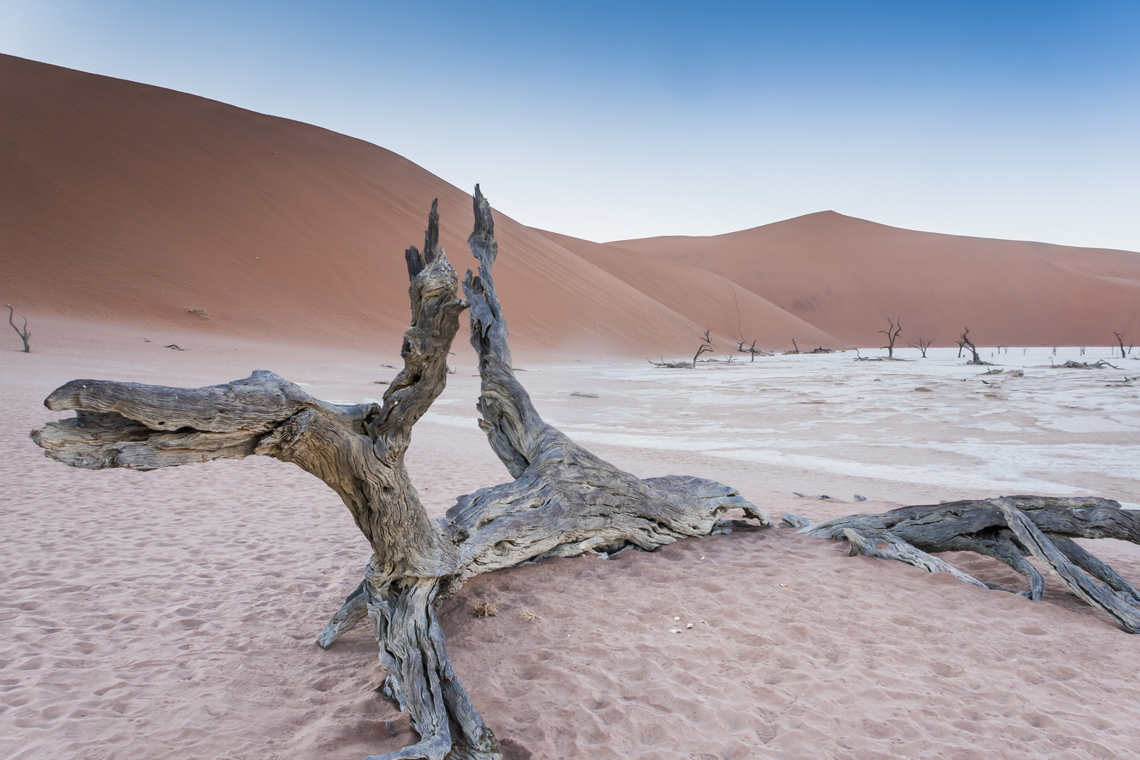 C1248 Namibia Dead Vlei