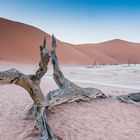 C1248 Namibia Dead Vlei