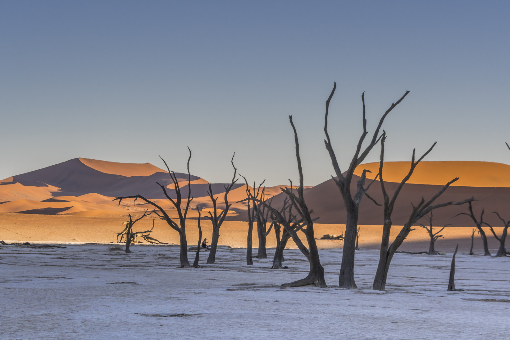 C1249 Namibia Dead Vlei