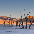 C1249 Namibia Dead Vlei