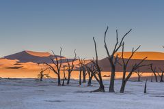 C1249 Namibia Dead Vlei