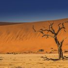 C1262 Namibia - Dead Vlei